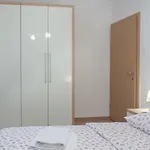Ricci 트로기르