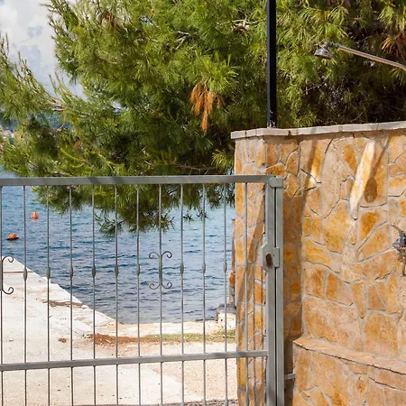 Ricci Trogir